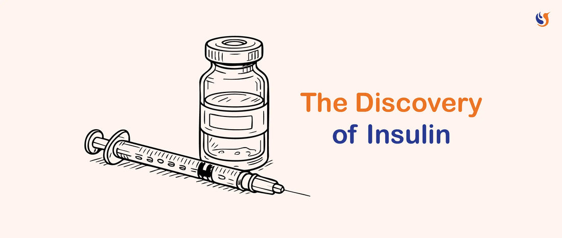 How Insulin Therapy Was Discovered