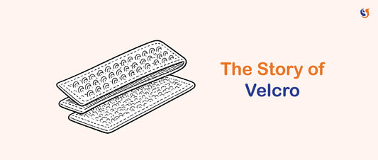 How Plant Burrs Inspired Velcro Fasteners